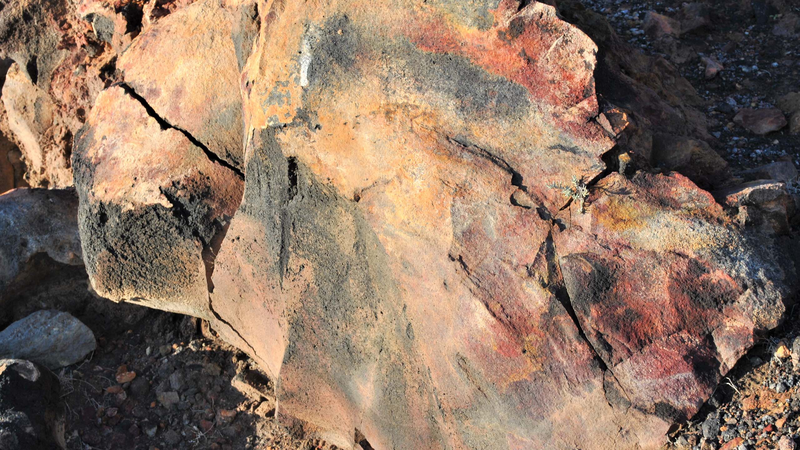 Lava block: Multicolor lava due to natural oxidation on the volcano